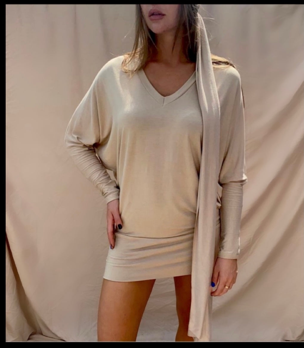 V Neck Dress/Top